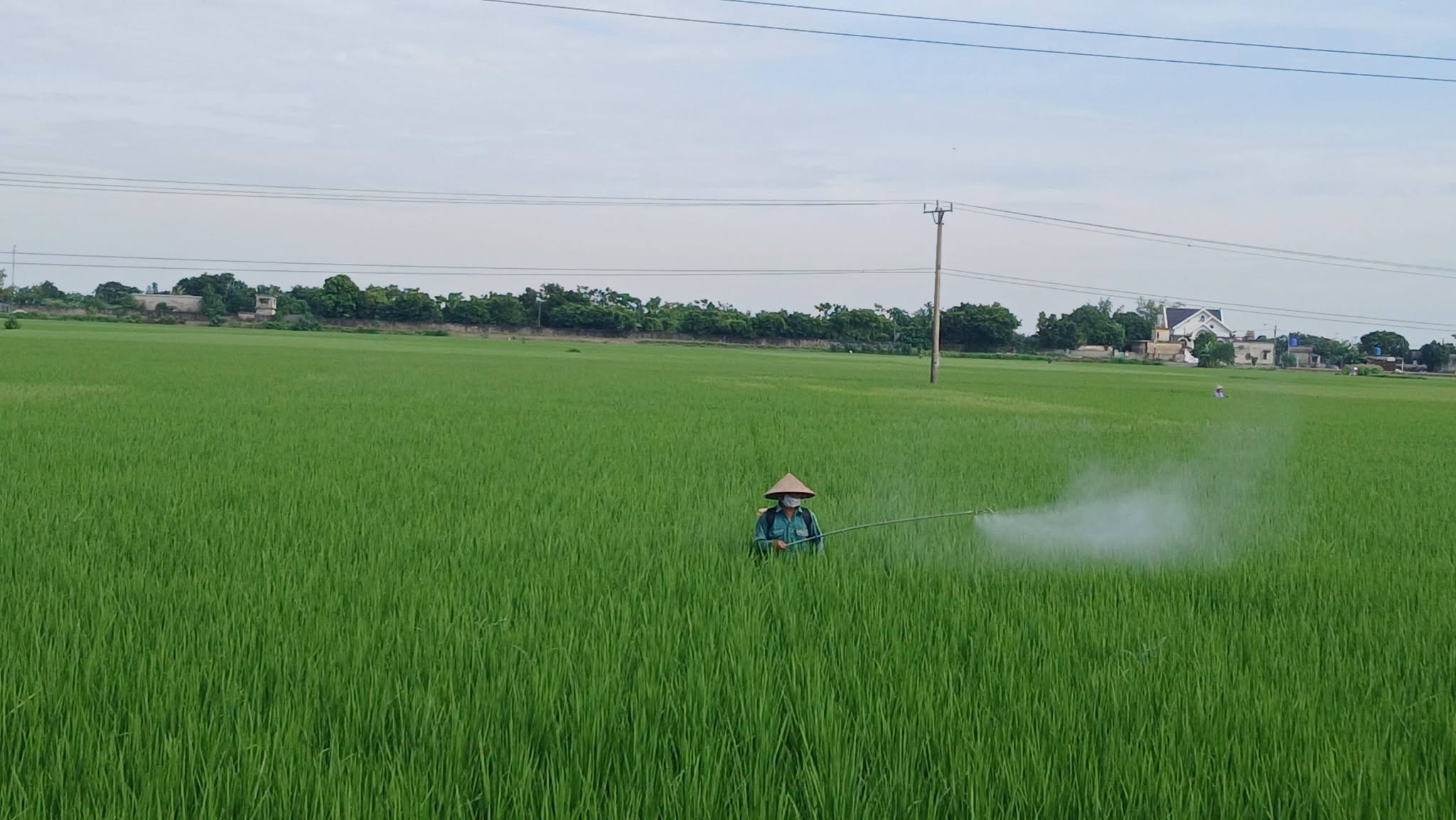 Nông dân trong xã tích cực phun trừ sâu bệnh bảo vệ lúa Mùa