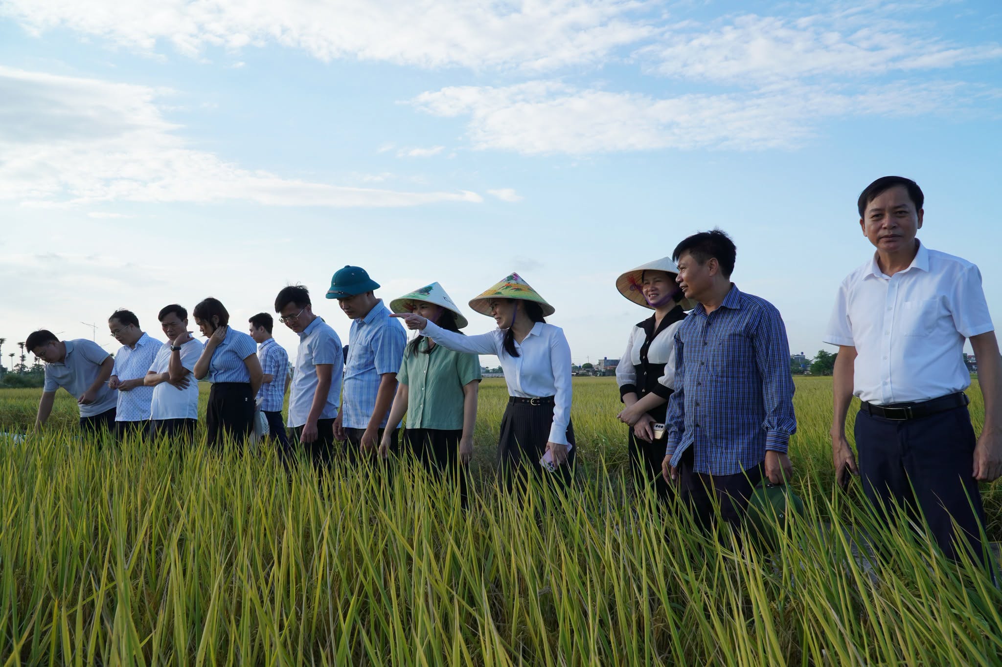 Ái Quốc đánh giá năng suất lúa vụ mùa 2026
